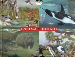 ENCIMA Y DEBAJO