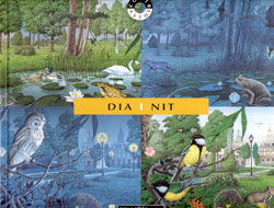 DIA I NIT