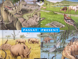 PASSAT I PRESENT