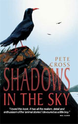 SHADOWS IN THE SKY 1