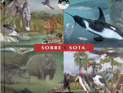SOBRE I SOTA
