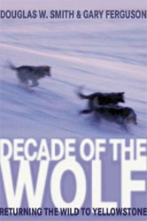 DECADE OF THE WOLF: RETURNING THE WILD TO YELLOWSTONE