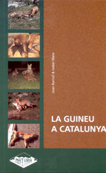 LA GUINEU A CATALUNYA