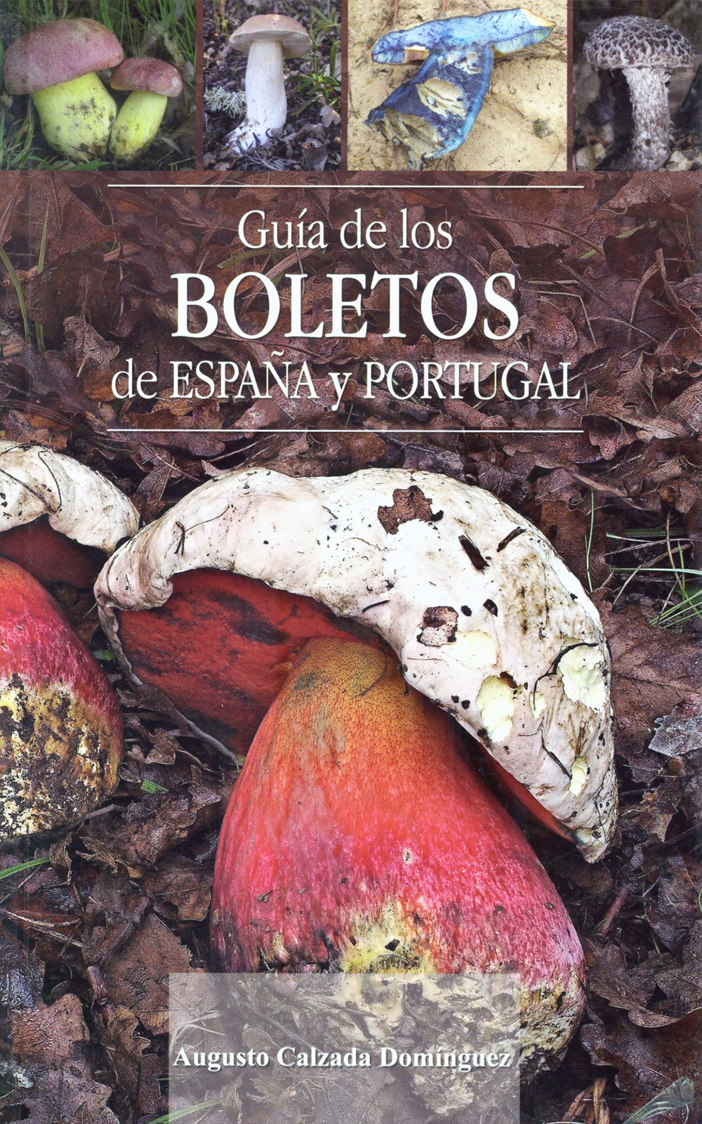GUÍA DE LOS BOLETOS DE ESPAÑA Y PORTUGAL    1