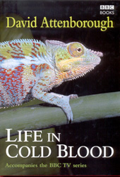 LIFE IN COLD BLOOD