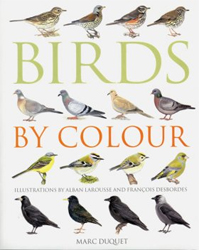 BIRDS BY COLOUR 1