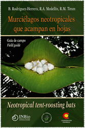 MURCIÉLAGOS NEOTROPICALES QUE ACAMPAN EN HOJAS 1