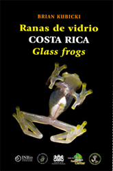 RANAS DE VIDRIO DE COSTA RICA 1