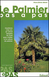 LE PALMIER PAS À PAS 1