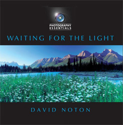 WAITING FOR THE LIGHT 1