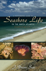 A PHOTOGRAPHIC GUIDE TO SEASHORE LIFE IN THE NORTH ATLANTIC CANADA TO CAPE COD 1