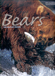 BEARS, THE SOLITARY RULERS