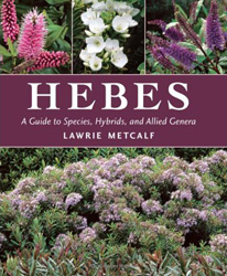 HEBES: A GUIDE TO SPECIES, HYBRIDS AND ALLIED GENERA