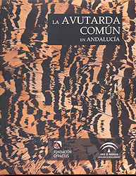 LA AVUTARDA COMÚN EN ANDALUCÍA 1