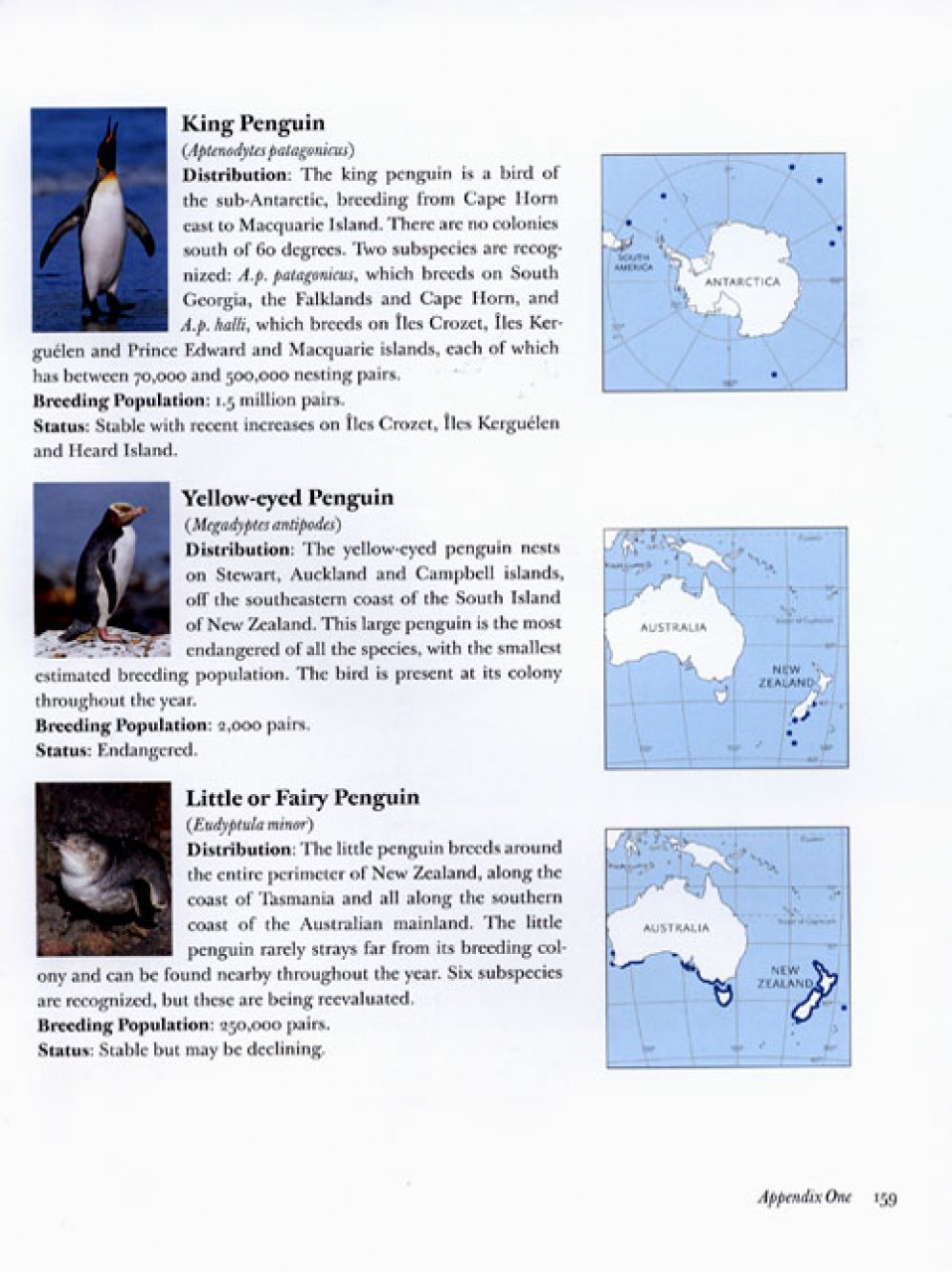 PENGUINS OF THE WORLD 4