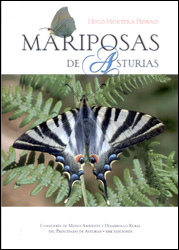 MARIPOSAS DE ASTURIAS 1