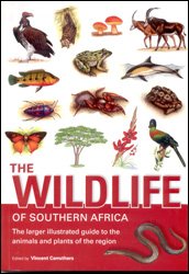 THE WILDLIFE OF SOUTHERN AFRICA. THE LARGER ILLUSTRATED GUIDE TO THE ANIMALS AND PLANTS OF THE REGION