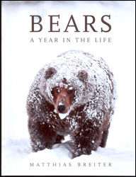 BEARS A YEAR IN THE LIFE 1