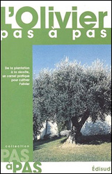 L'OLIVIER PAS A PAS 1