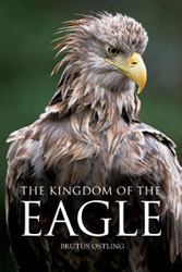 THE KINGDOM OF THE EAGLE 1