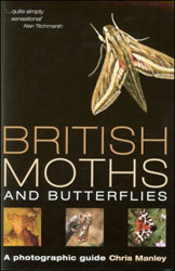 BRITISH MOTHS AND BUTTERFLIES 1