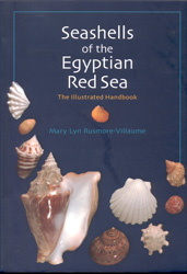 SEASHELLS OF THE EGYPTIAN RED SEA: THE ILLUSTRATED HANDBOOK 1