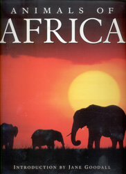 ANIMALS OF AFRICA