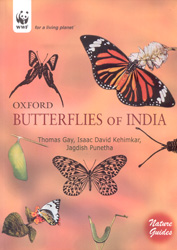 BUTTERFLIES OF INDIA
