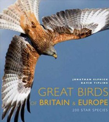 GREAT BIRDS OF BRITAIN AND EUROPE. 200 STAR SPECIES 1