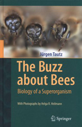 THE BUZZ ABOUT BEES. BIOLOGY OF A SUPERORGANISM 1