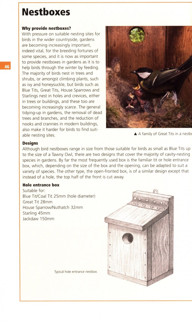 GUIDE TO GARDEN WILDLIFE 5