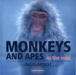 MONKEYS AND APES IN THE WILD 1