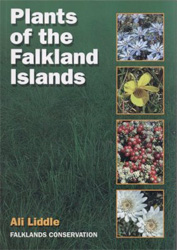PLANTS OF THE FALKLAND ISLANDS 1