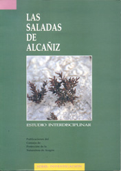 LAS SALADAS DE ALCAÑIZ 1