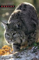 BOBCAT. MASTER OF SURVIVAL 2