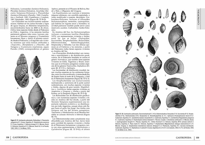 LOS INVERTEBRADOS FÓSILES (2 VOLÚMENES) 3