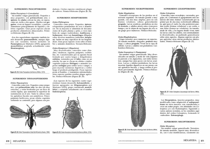 LOS INVERTEBRADOS FÓSILES (2 VOLÚMENES) 4