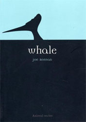 WHALE