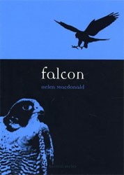 FALCON