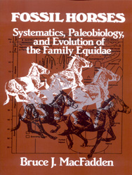 FOSSIL HORSES