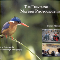 THE TRAVELING NATURE PHOTOGRAPHER
