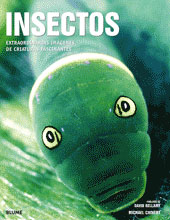 INSECTOS 1