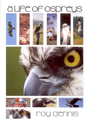A LIFE OF OSPREYS