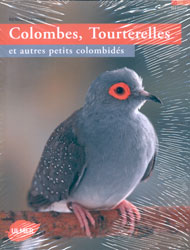 COLOMBES, TOURTERELLES ET AUTRES PETITS COLOMBIDÉS   1