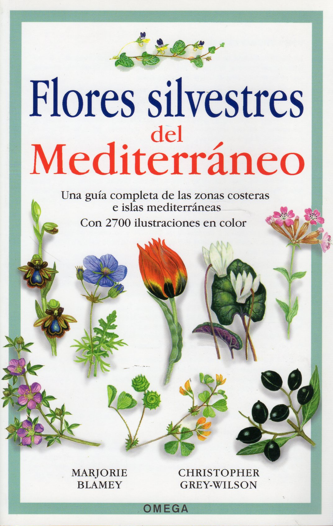 FLORES SILVESTRES DEL MEDITERRÁNEO 1