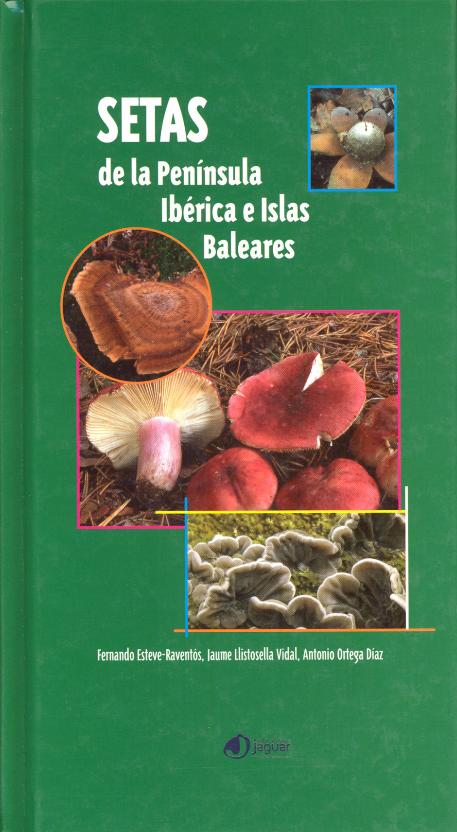 SETAS DE LA PENÍNSULA IBÉRICA E ISLAS BALEARES