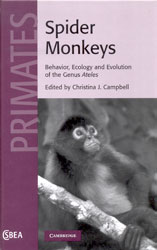 SPIDER MONKEYS