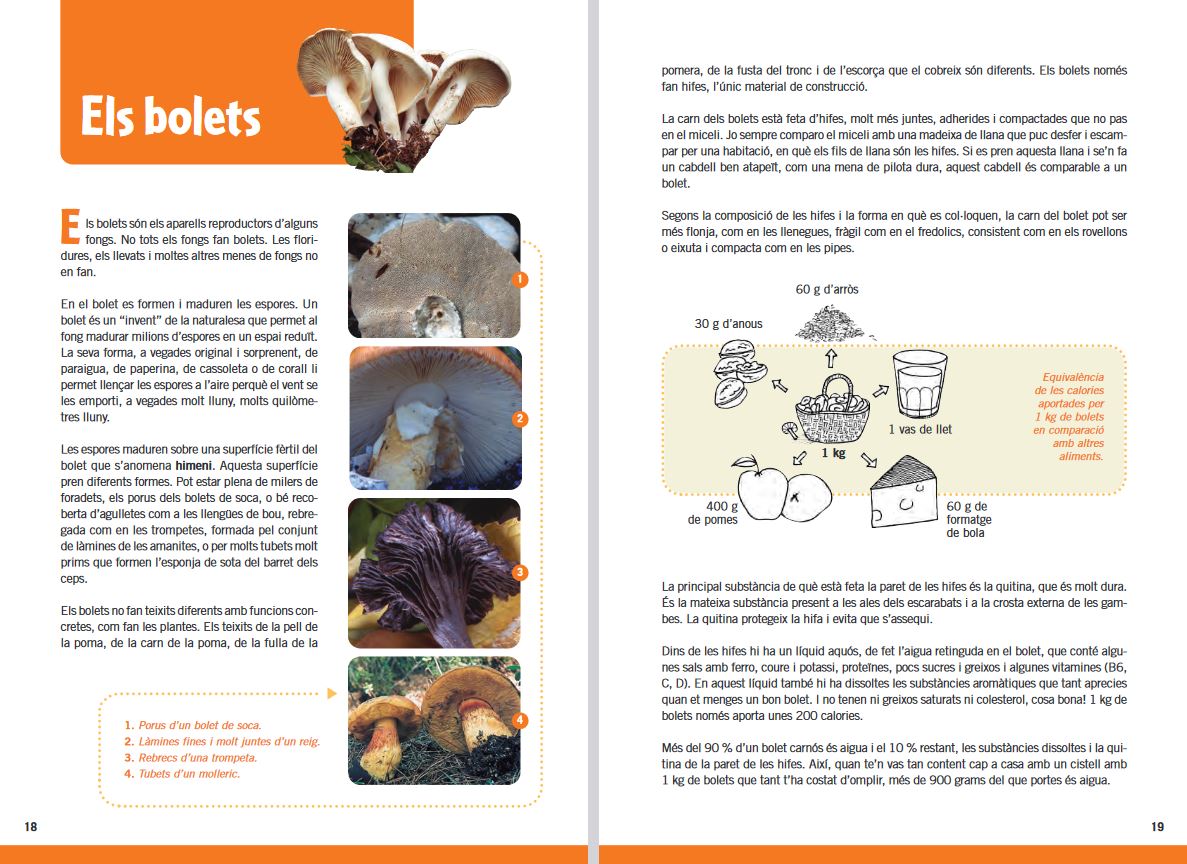 GUIA DE BOLETS PER A NOIS I NOIES 4