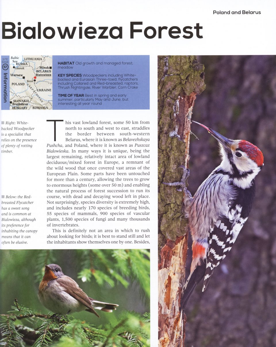 TOP 100 BIRDING SITES OF THE WORLD 2