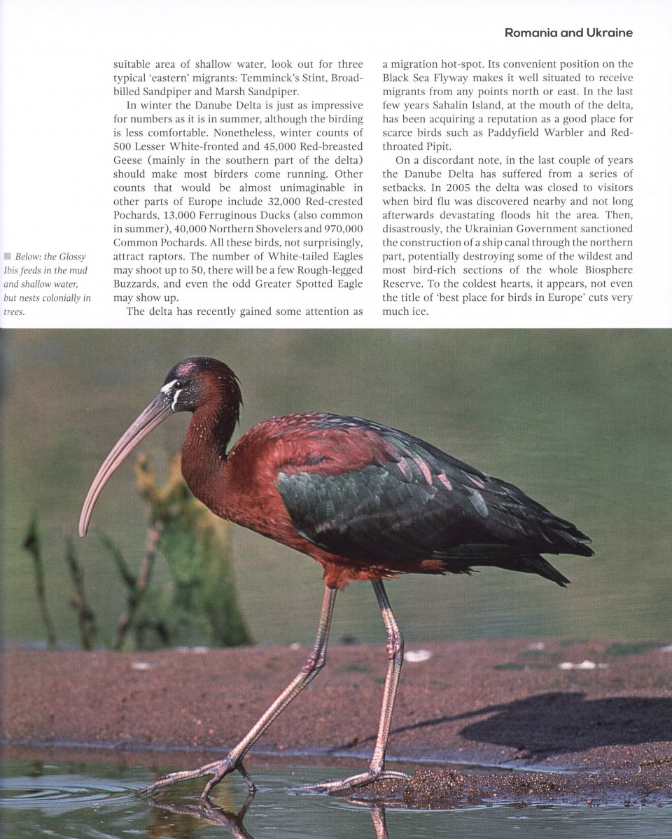 TOP 100 BIRDING SITES OF THE WORLD 3